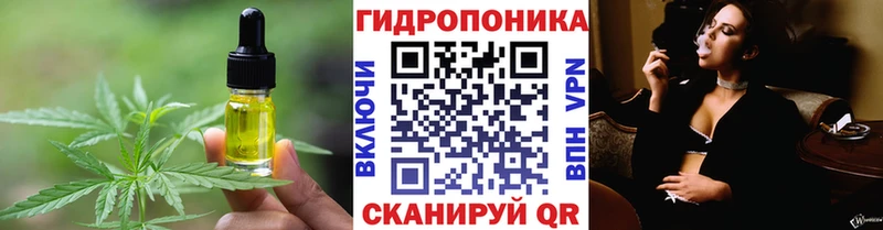 Купить закладки  Иланский  Canna-Cookies конопля 