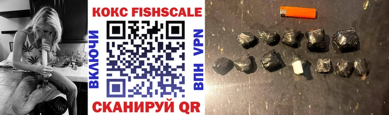 Купить где  Иланский  КОКАИН Fish Scale 