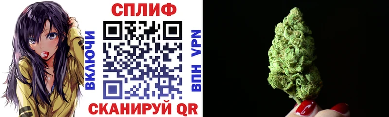 Купить где  Иланский  Шишки марихуана Amnesia 
